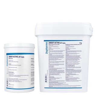 AMOXY ACTIVE® 697 mg/g